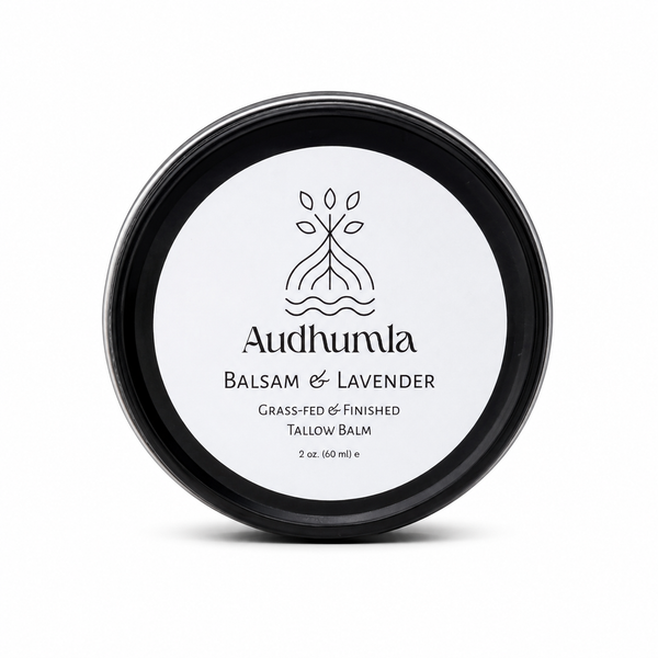Balsam & Lavender - Tallow Balm 2 oz