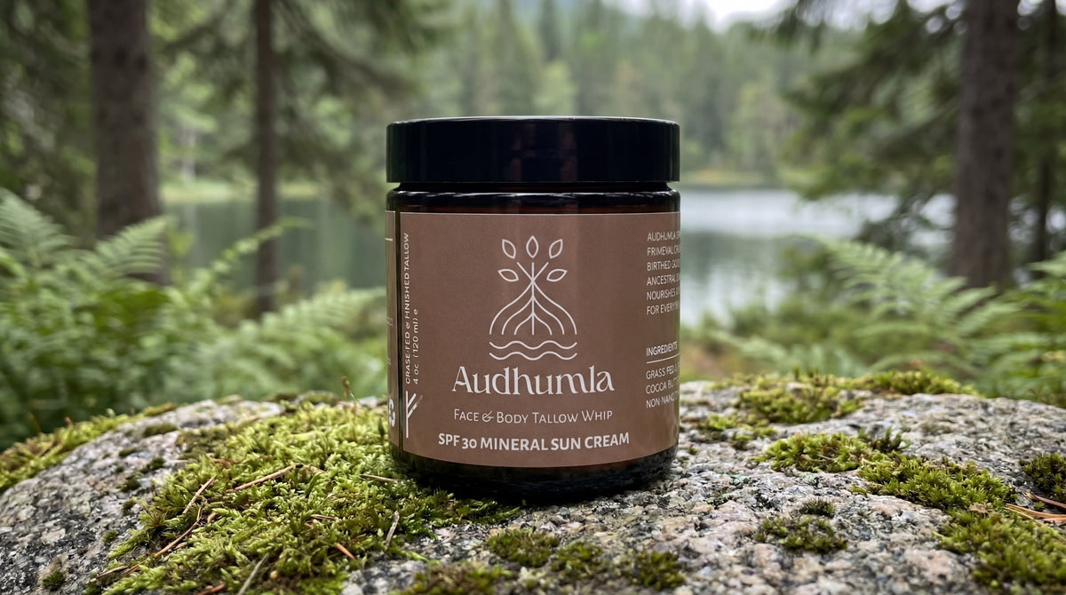 The Audhumla Solution —