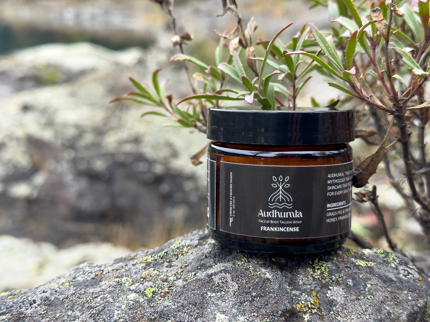 Frankincense - Face & Body Tallow Whip 2 oz