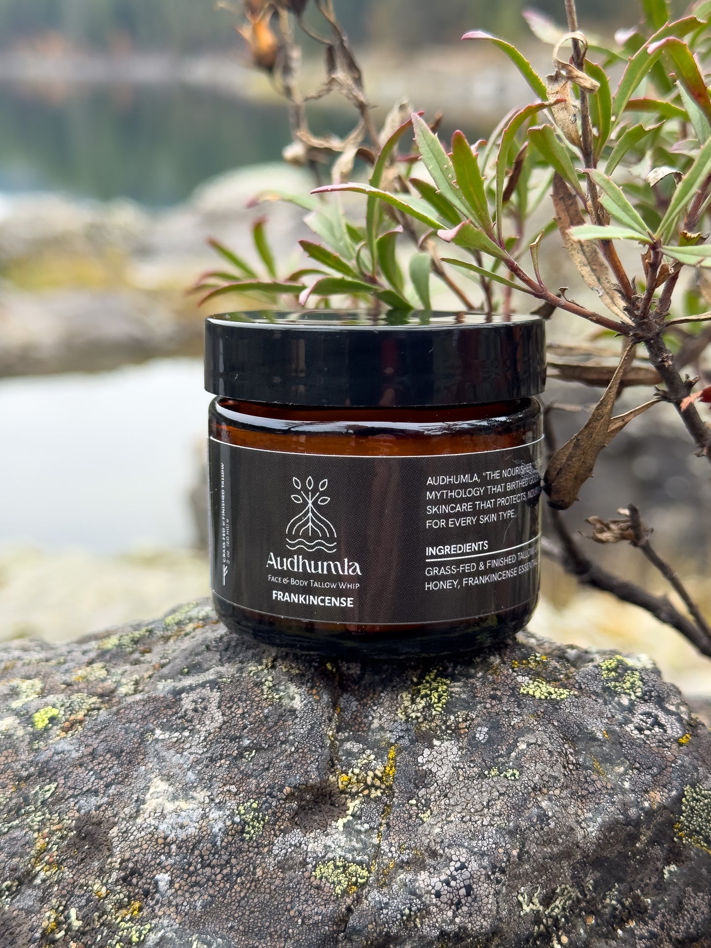 Frankincense - Face & Body Tallow Whip 2 oz