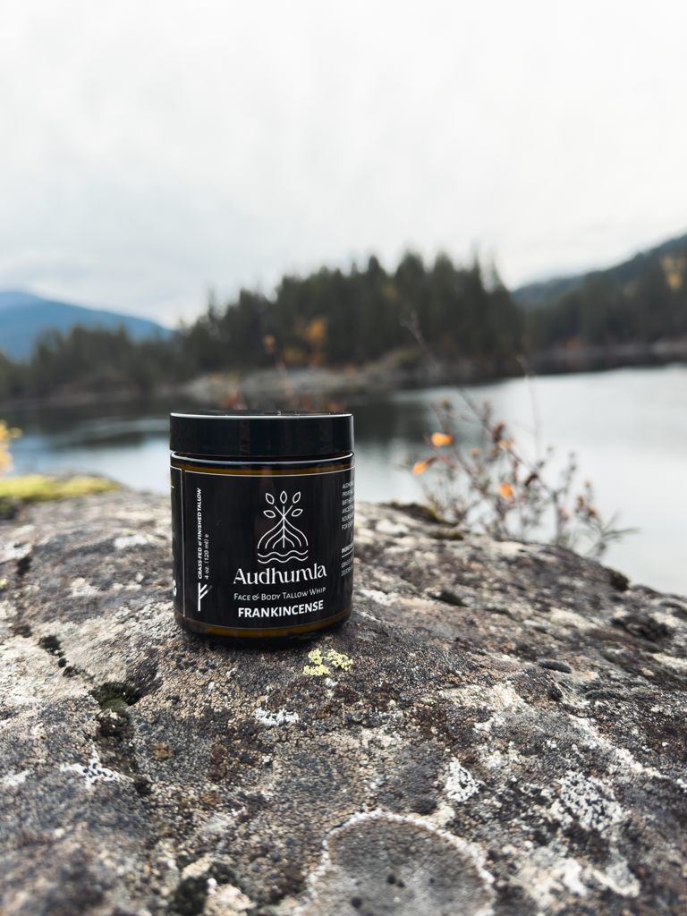 Frankincense - Face & Body Tallow Whip 4 oz