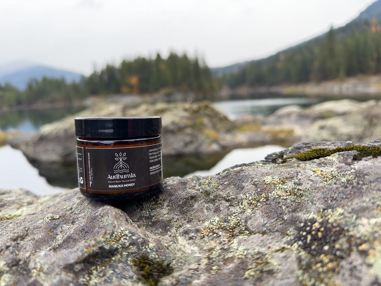 Manuka Honey - Face & Body Tallow Whip 2 oz