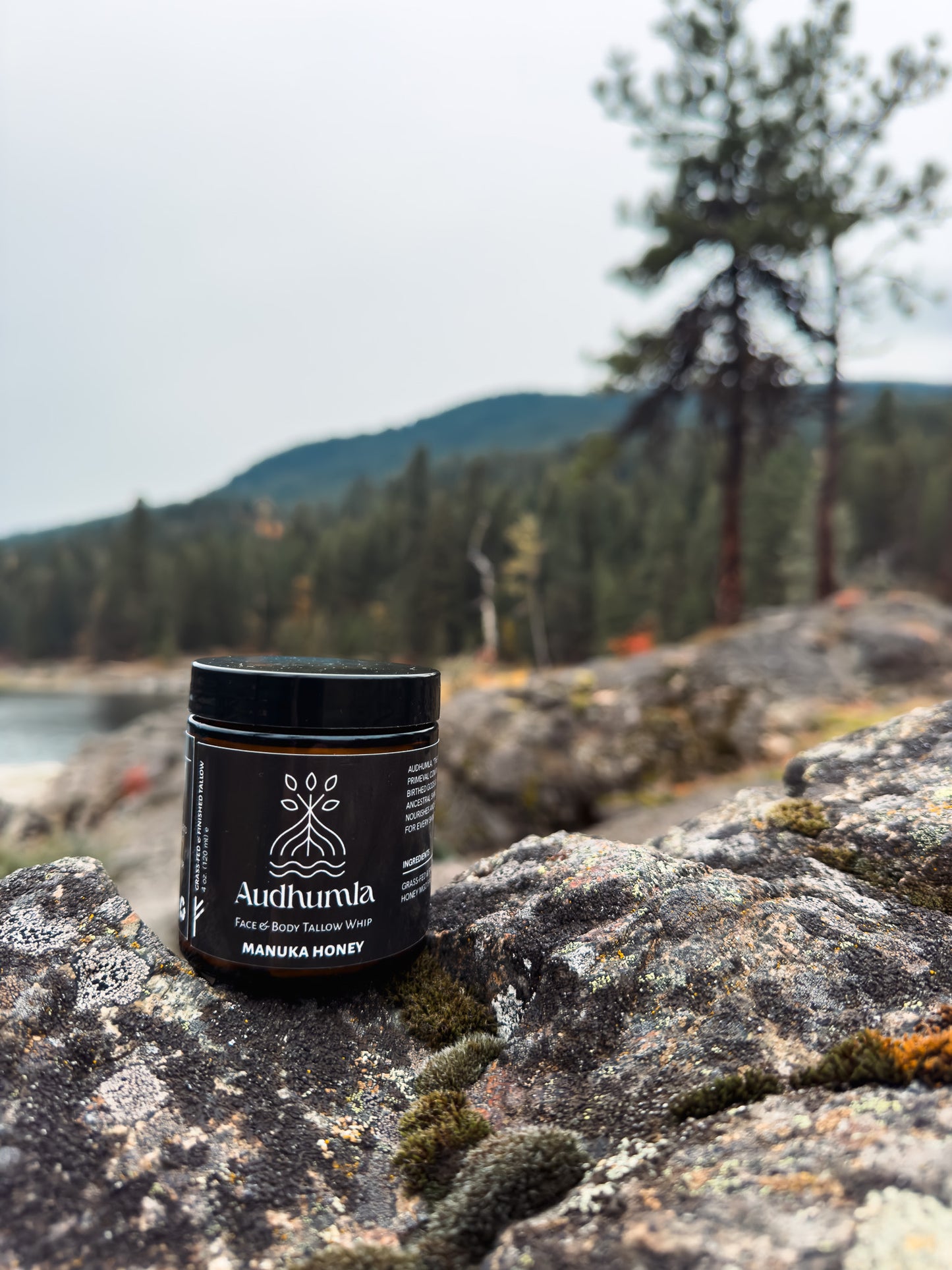 Manuka Honey - Face & Body Tallow Whip 4 oz
