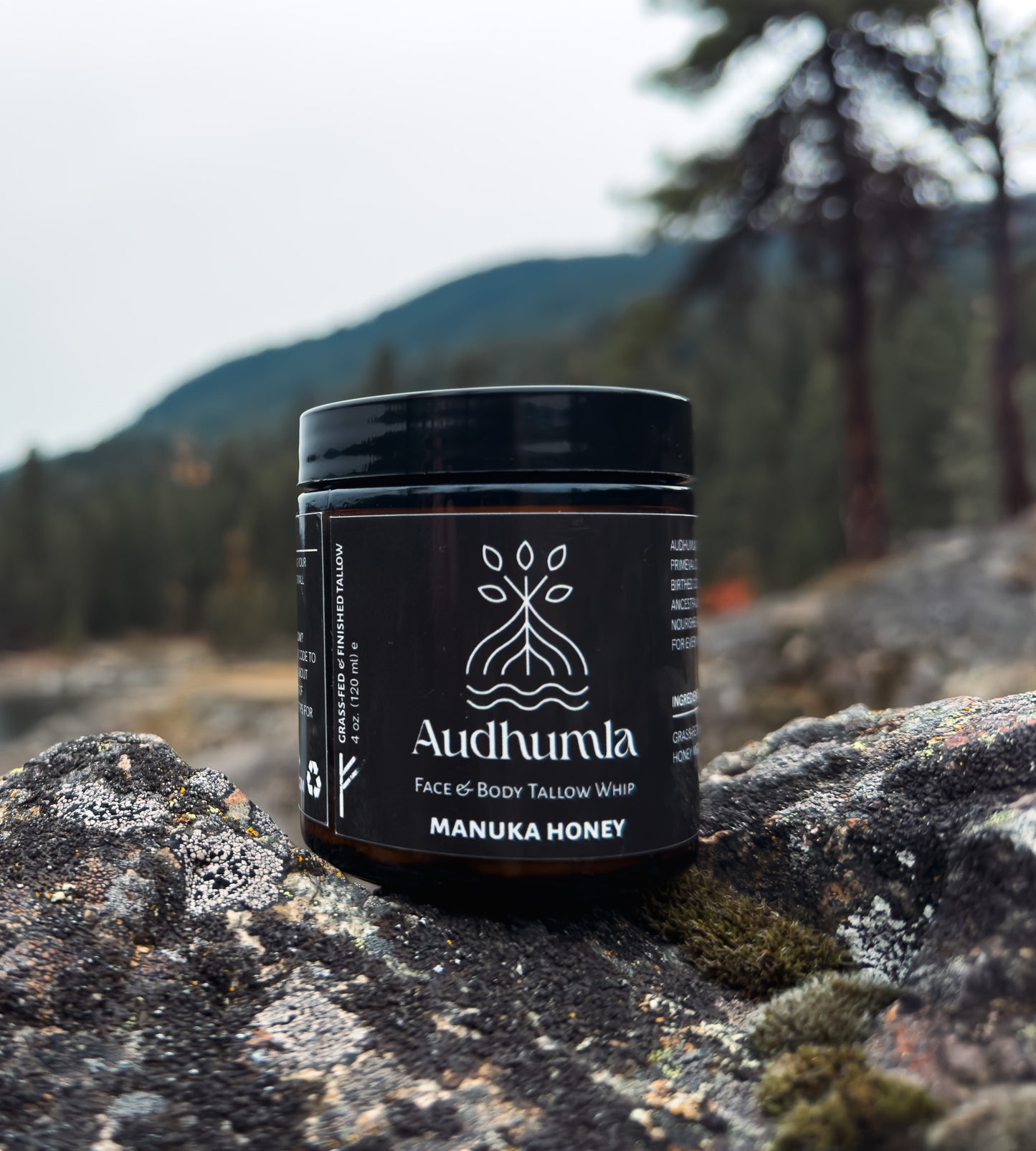 Manuka Honey - Face & Body Tallow Whip 4 oz