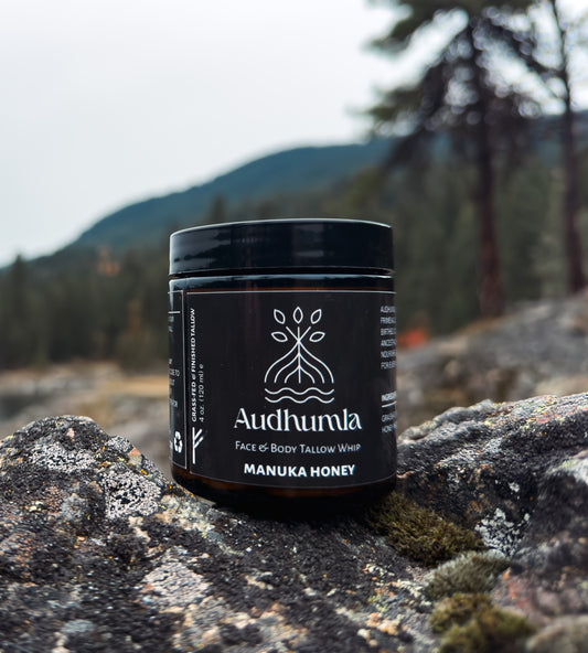 Manuka Honey - Face & Body Tallow Whip 4 oz
