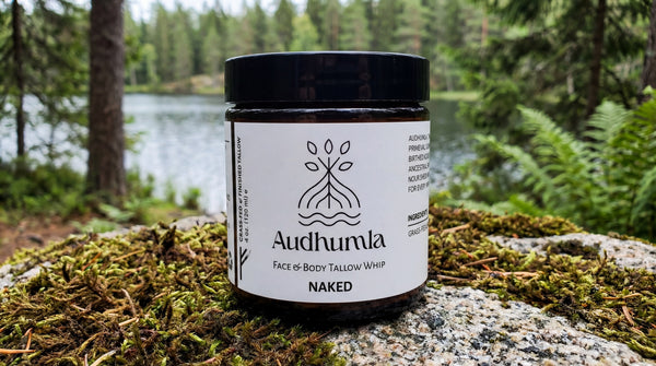 AUDHUMLA