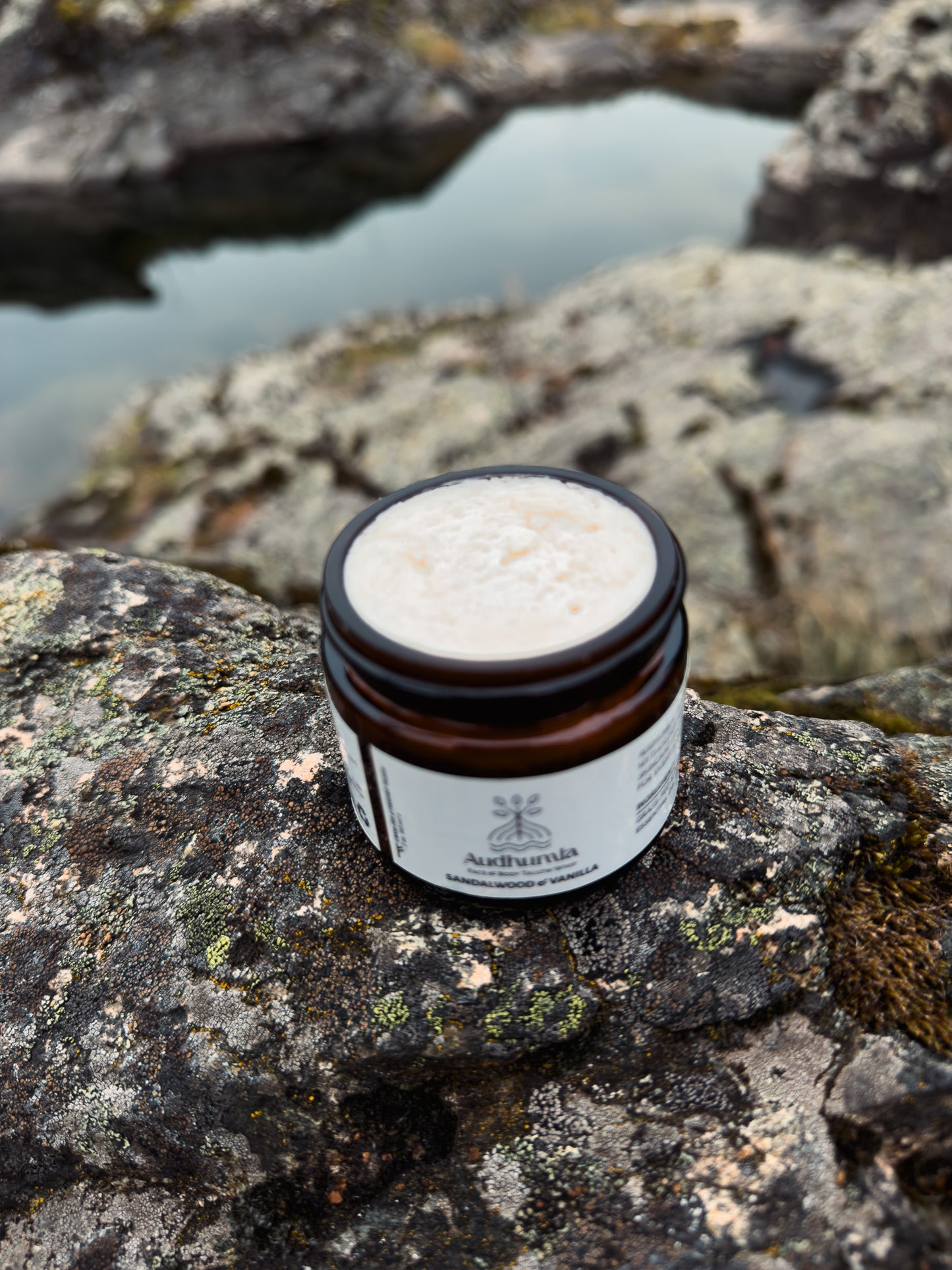 Sandalwood & Vanilla - Face & Body Tallow Whip 2 oz