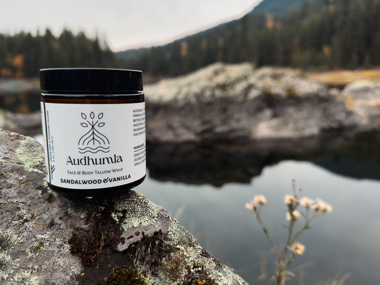 Sandalwood & Vanilla - Face & Body Tallow Whip 4 oz