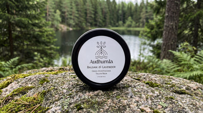 Balsam & Lavender - Tallow Balm 2 oz