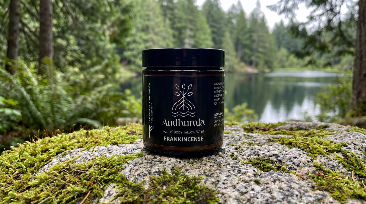 Frankincense - Face & Body Tallow Whip 4 oz