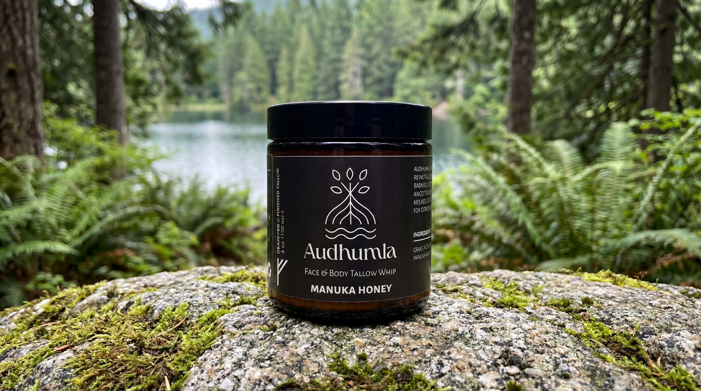Manuka Honey - Face & Body Tallow Whip 4 oz