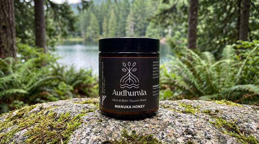 Manuka Honey - Face & Body Tallow Whip 4 oz